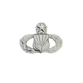 Air Force Badge: Chaplain Assistant: Master - midsize