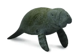 Collecta - Manatee Calf Swimming