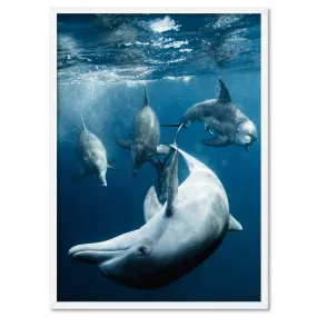 Dolphins Under the Sea - Art Print