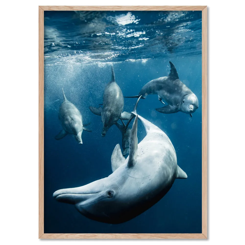 Dolphins Under the Sea - Art Print