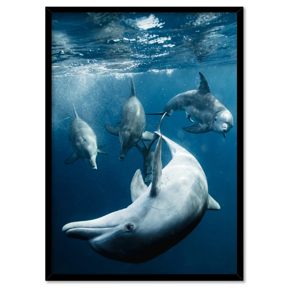 Dolphins Under the Sea - Art Print