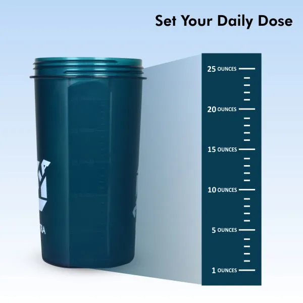Electra Sports Bottle