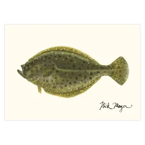 Fluke Notecards