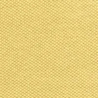 Maize