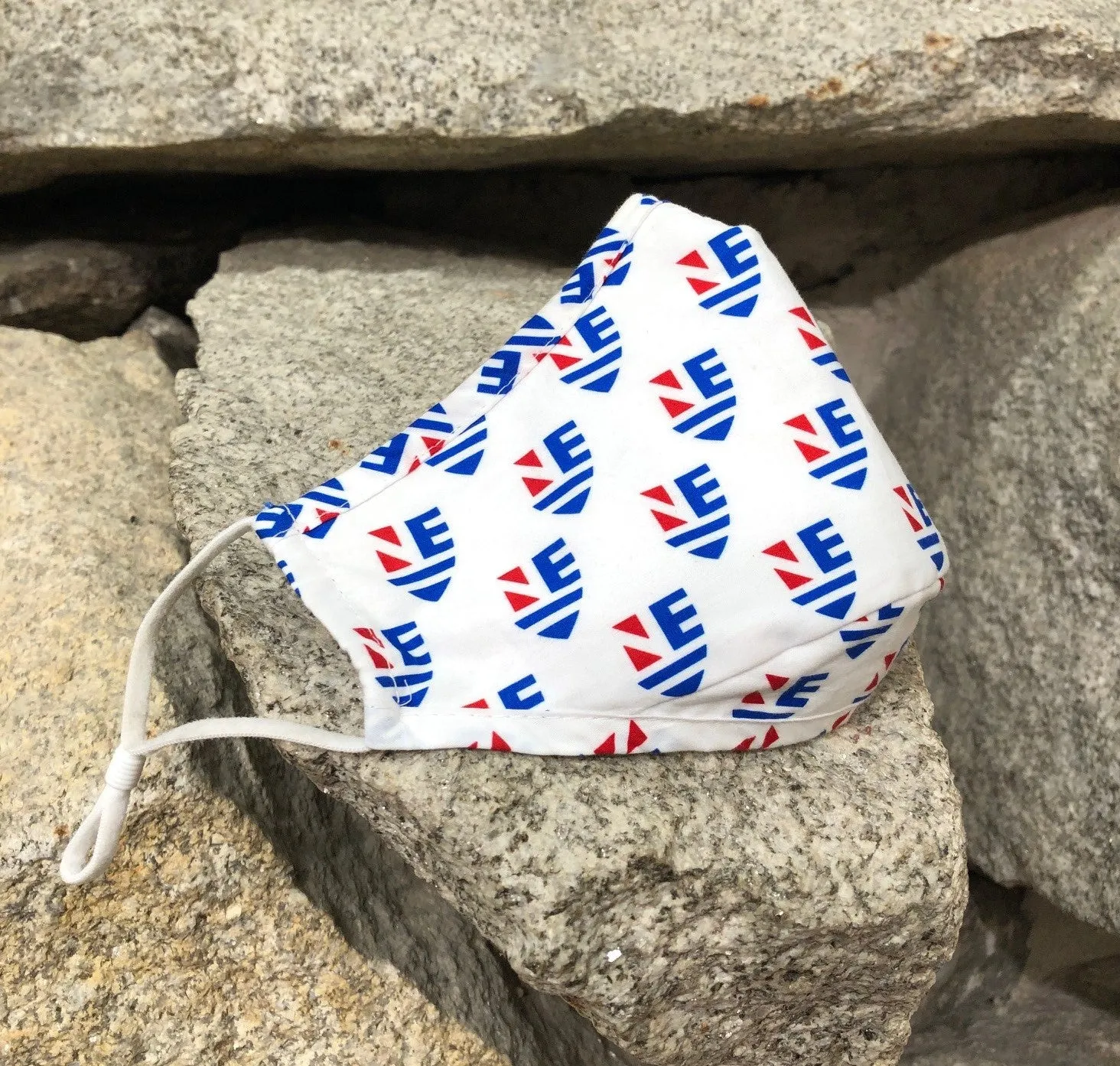 New England College Mask
