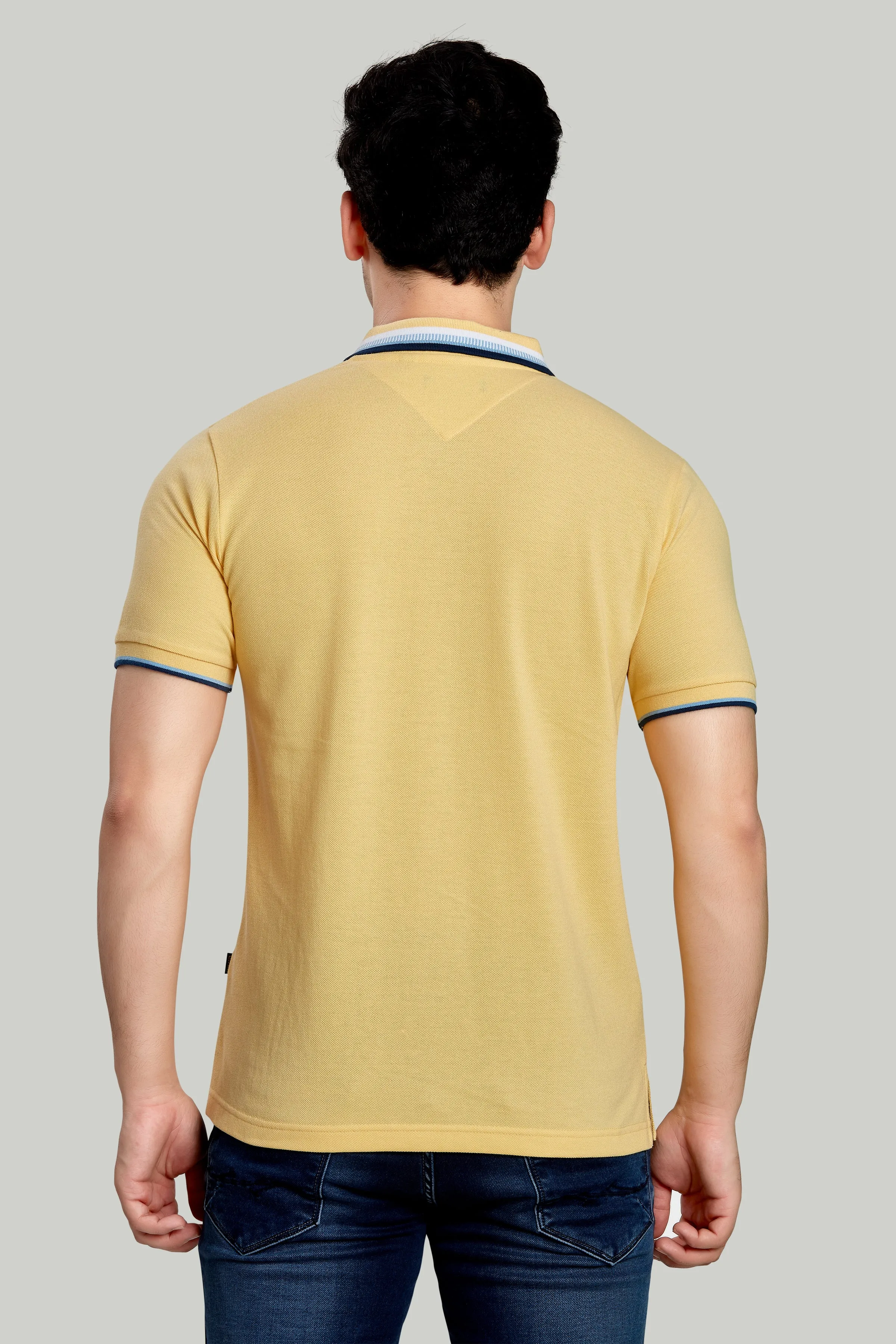 Tipped Collar Solid Polo