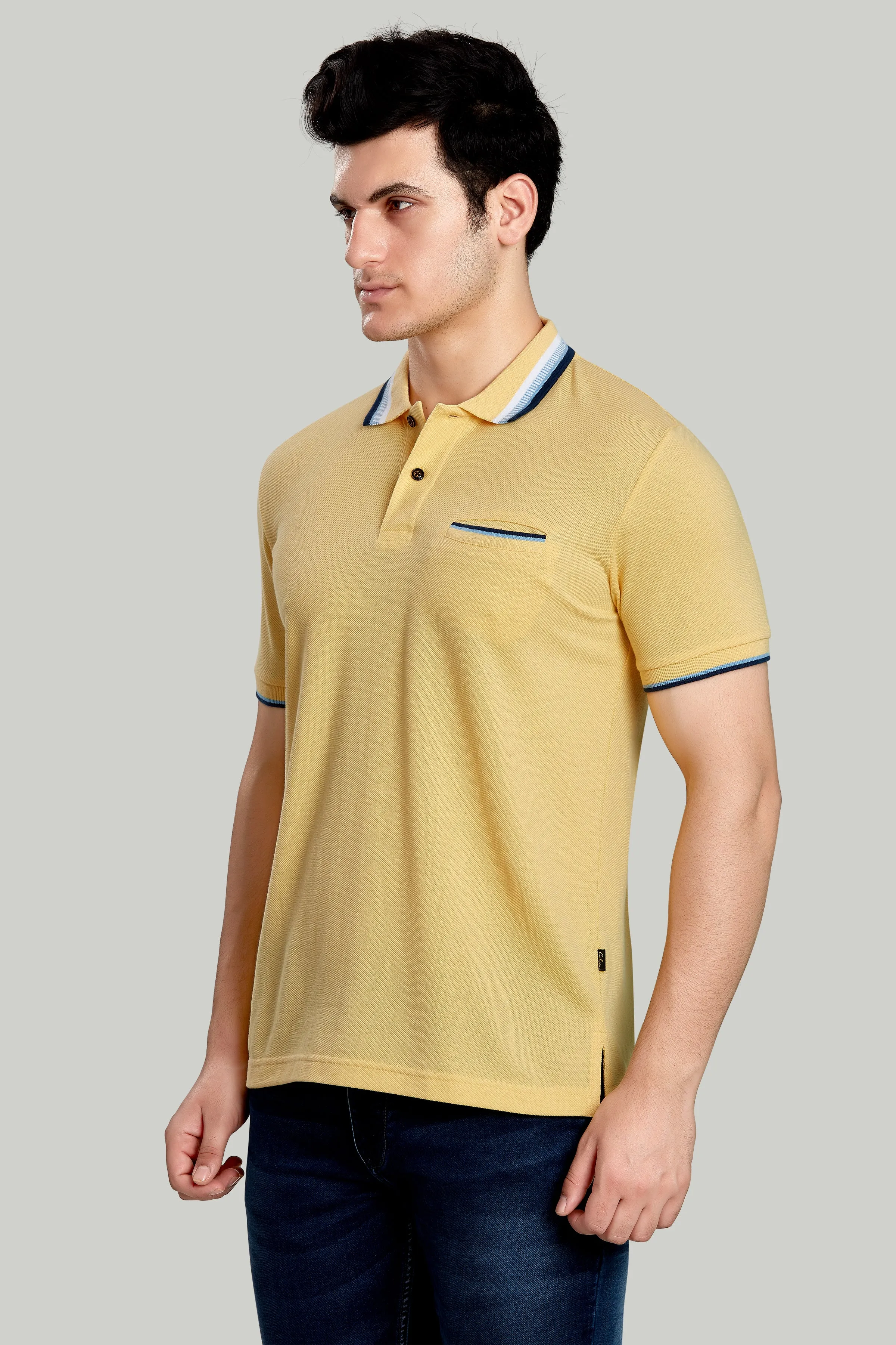 Tipped Collar Solid Polo