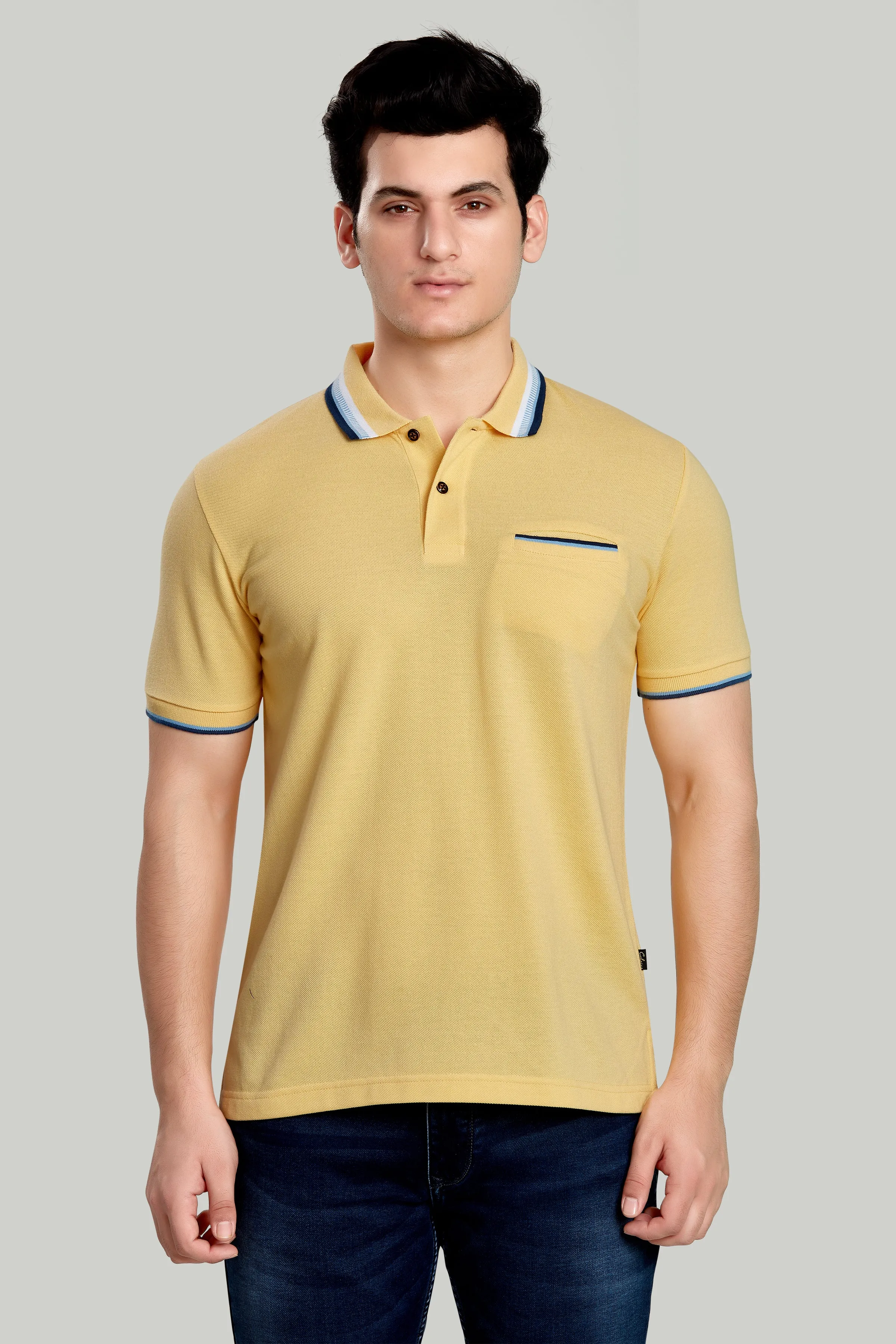 Tipped Collar Solid Polo