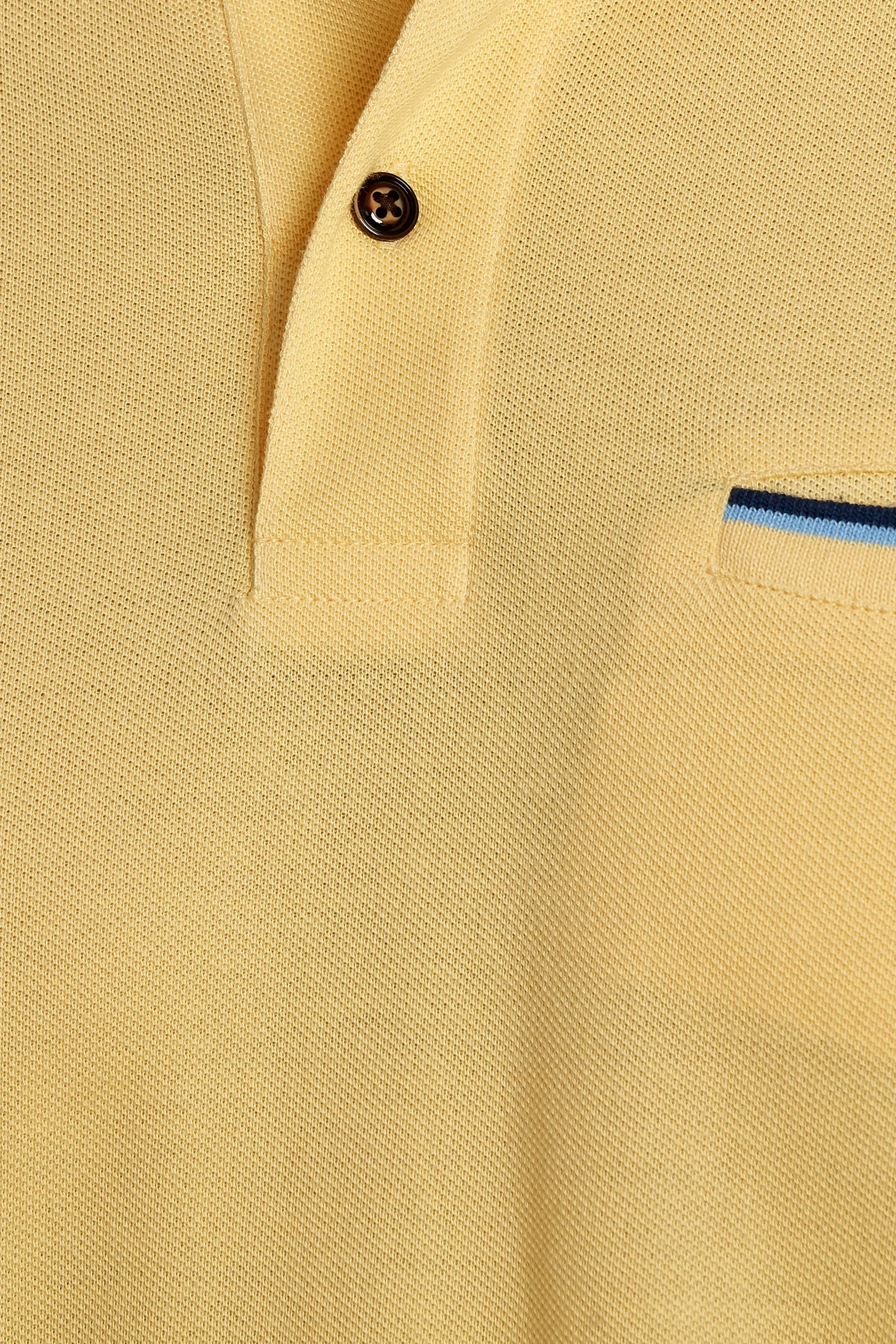 Tipped Collar Solid Polo